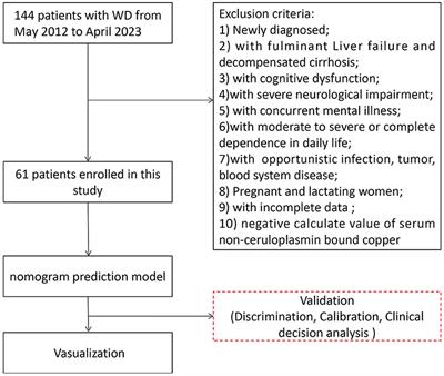 Ideal serum non-ceruloplasmin bound copper prediction for long-term treated patients with Wilson disease: a nomogram model
